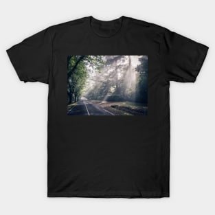 Macedon Misty Morning T-Shirt